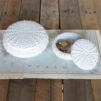 Urchin Ceramic Box