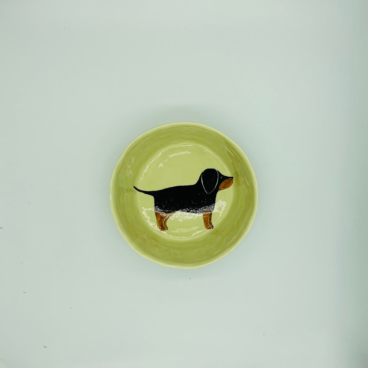 Large Dog Bowls