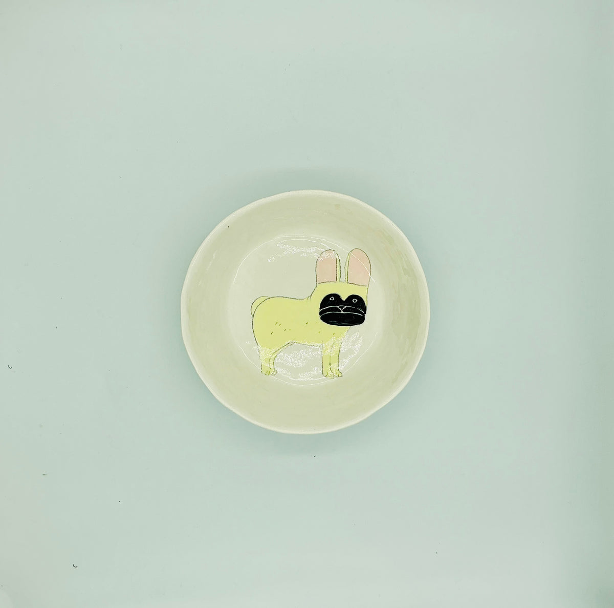 Large Dog Bowls