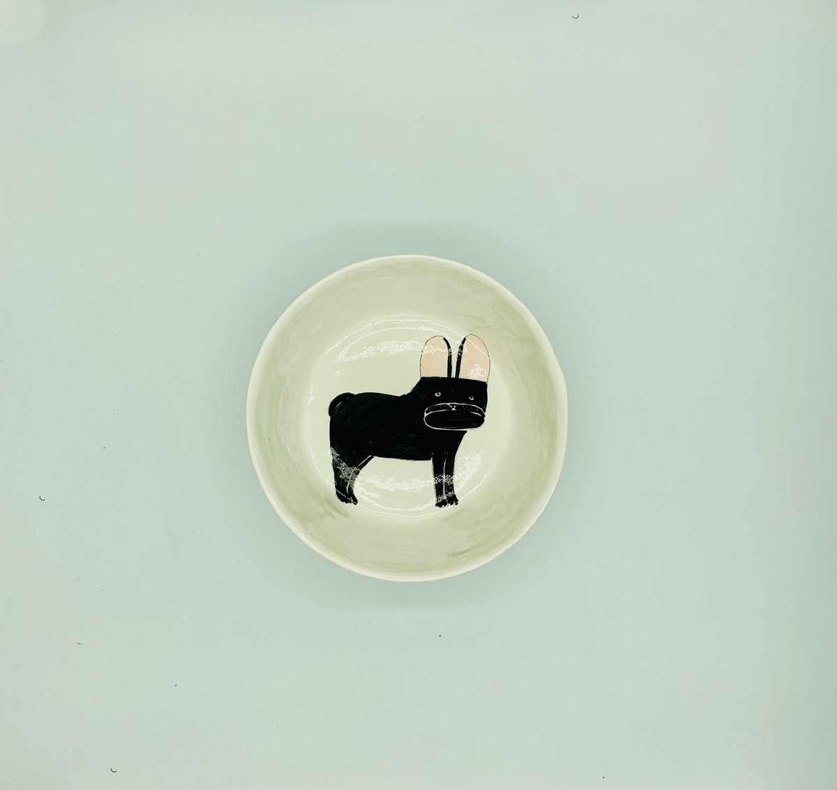 Large Dog Bowls