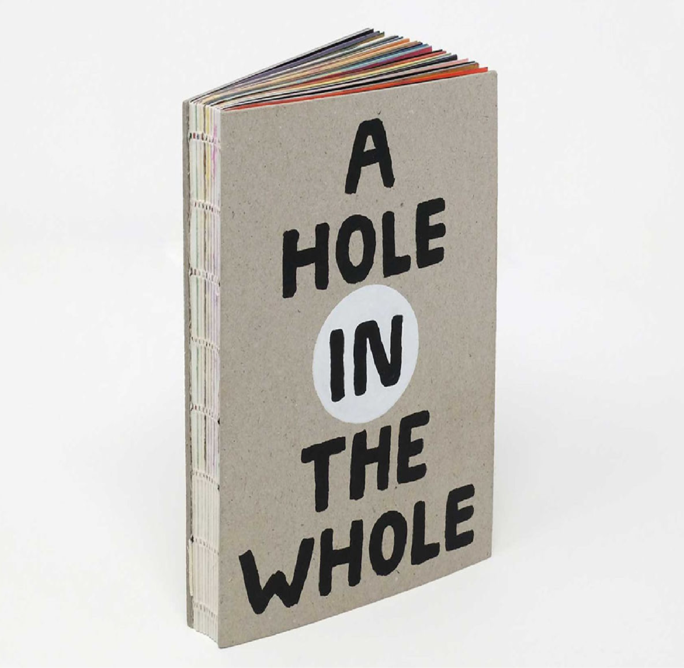A Hole in The Whole Book