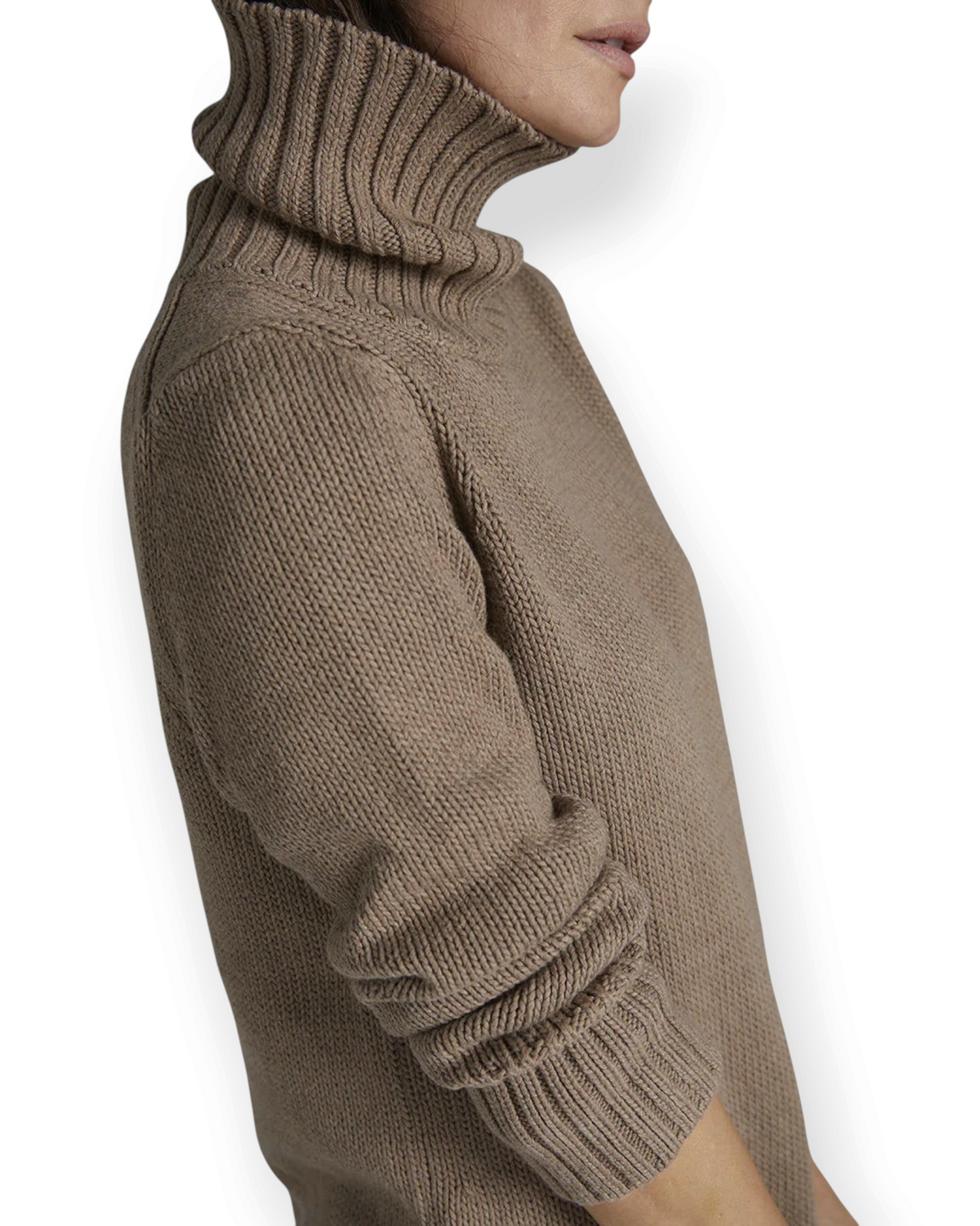 The Wynn Cotton Turtleneck