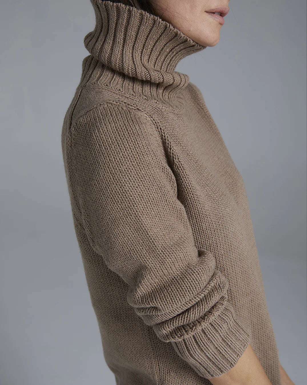 The Wynn Cotton Turtleneck