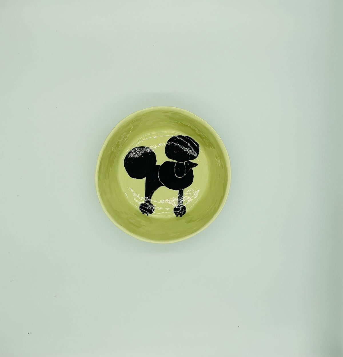 Large Dog Bowls