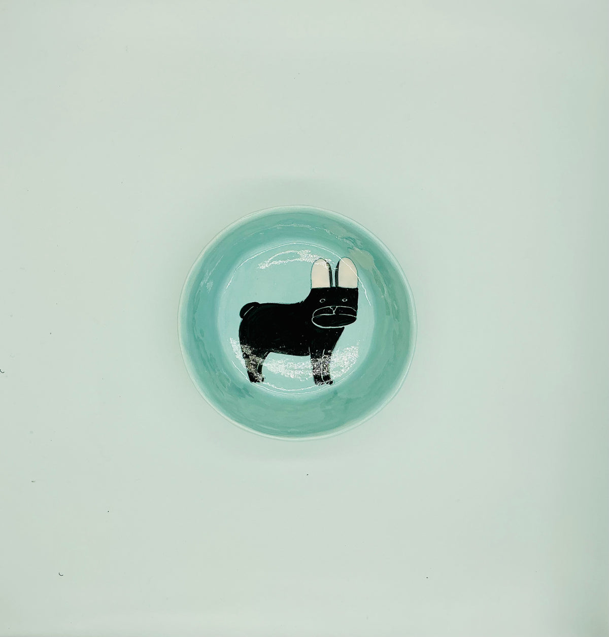 Large Dog Bowls