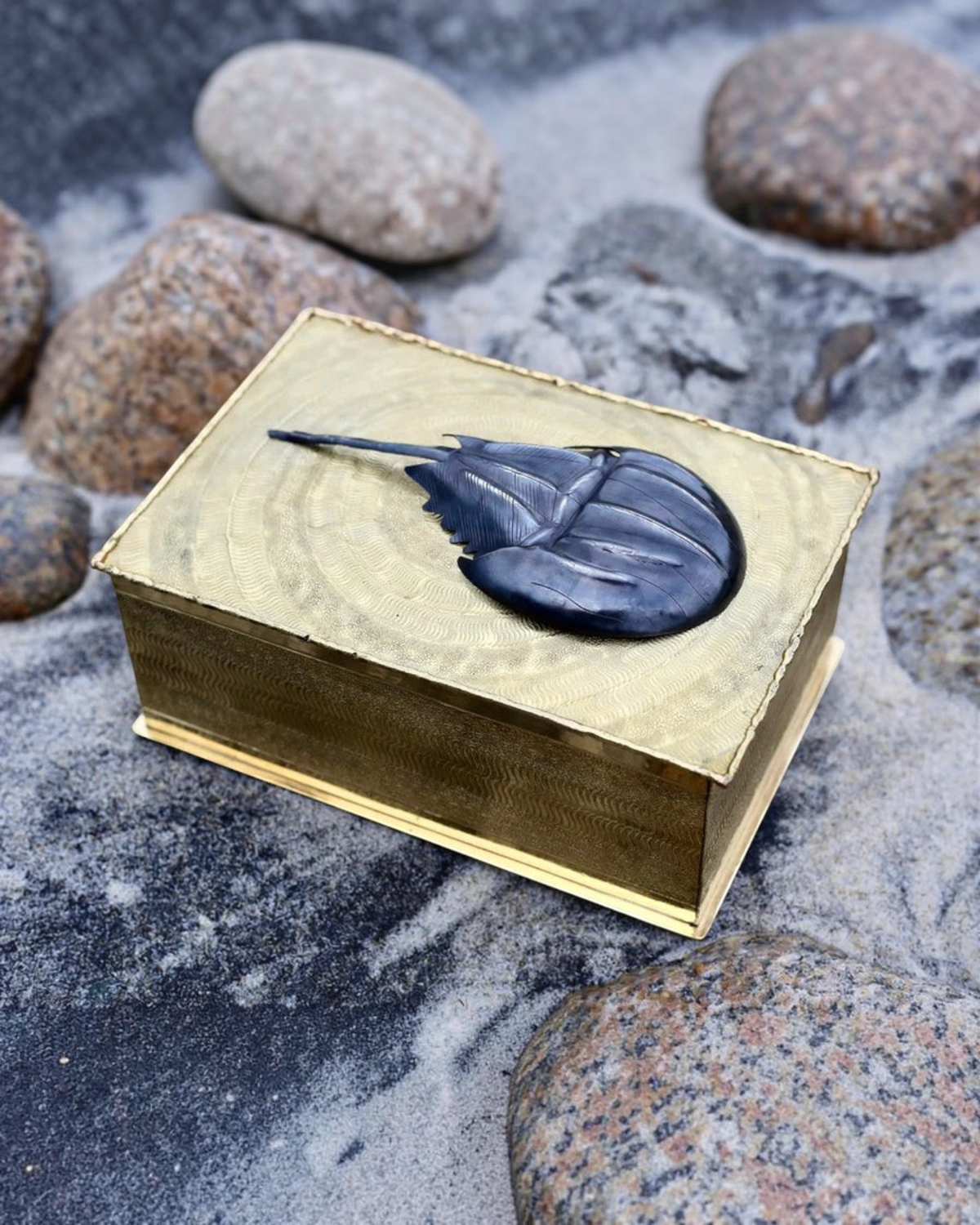 Birdie by Nina Liddle Design horseshoe crab keepsake box made of tumbaga with a textured gold finish on sand.