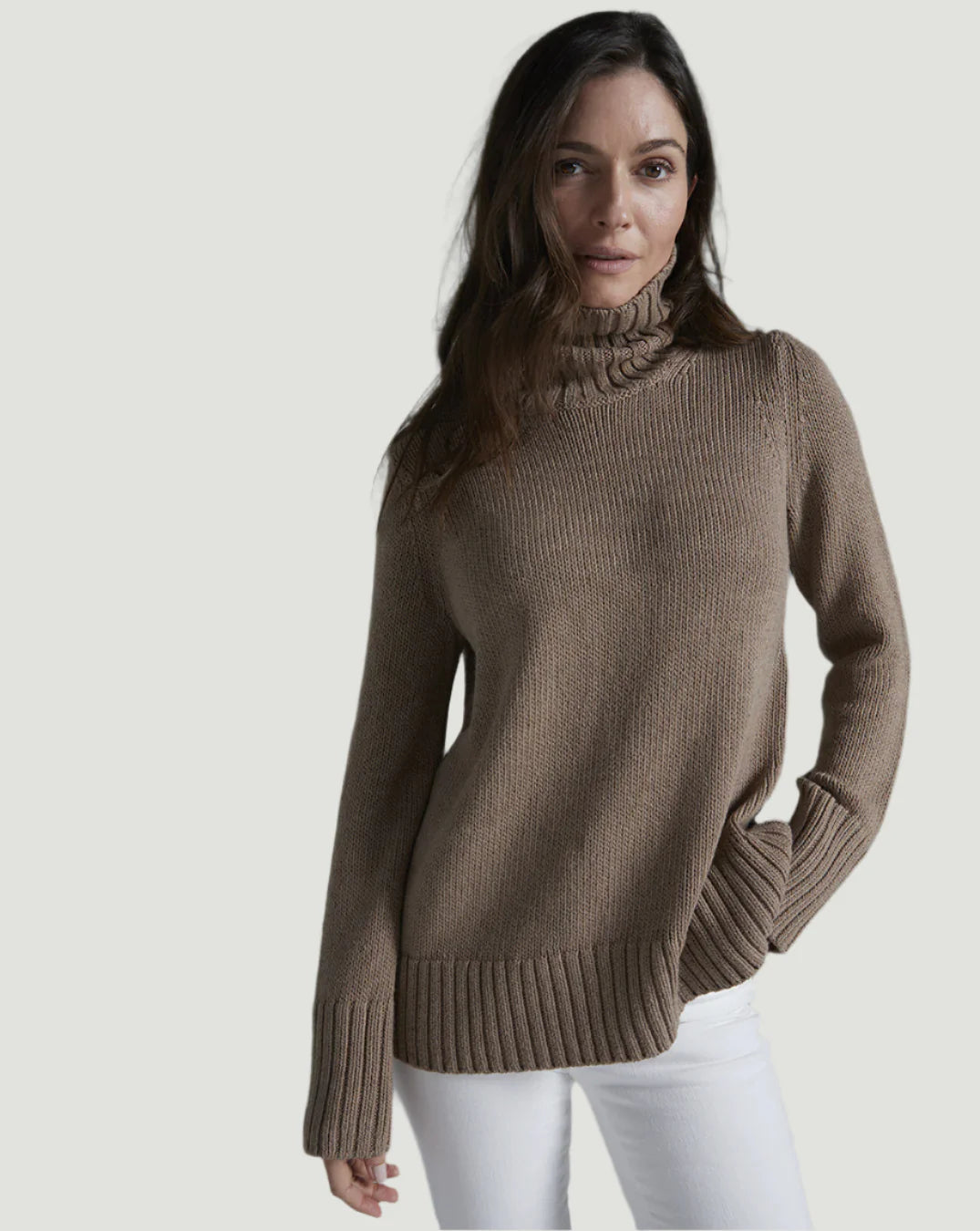The Wynn Cotton Turtleneck