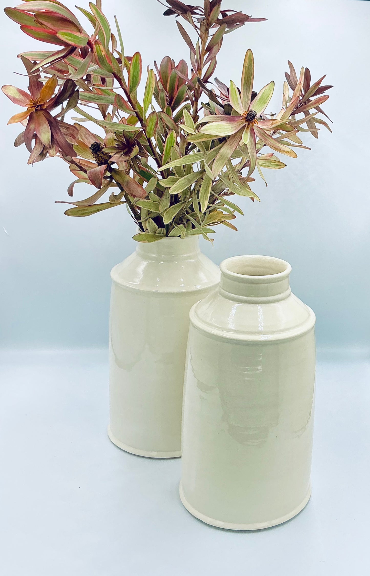 Nicholas Newcomb Milk Jug Vase