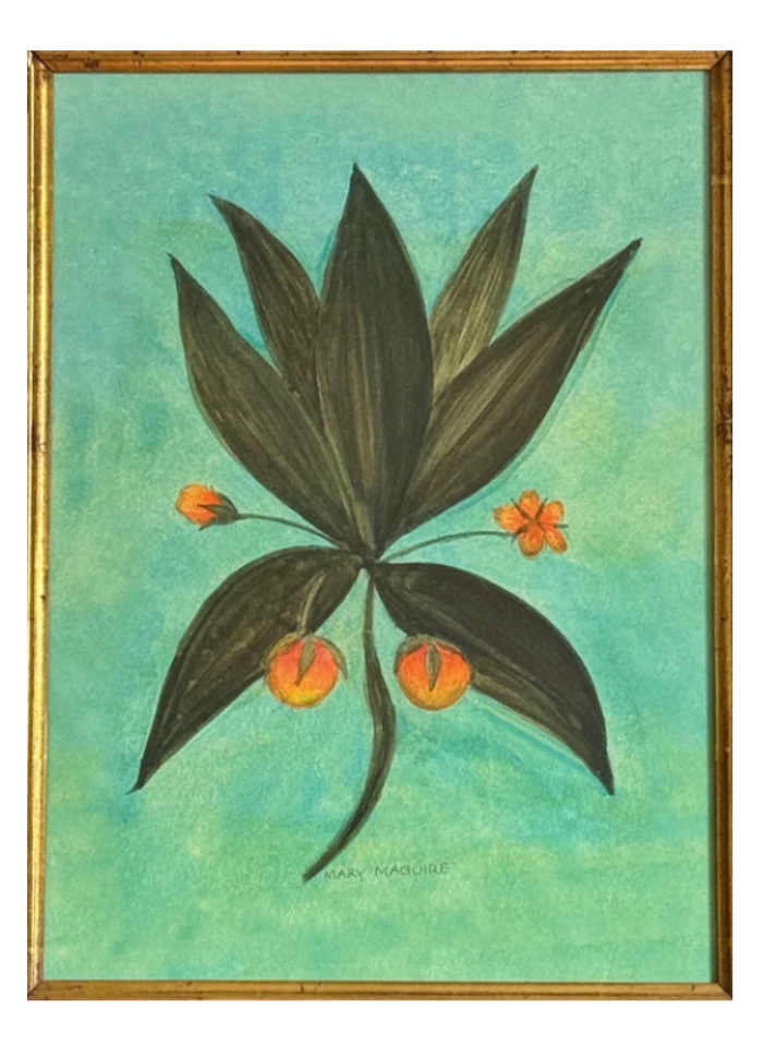 Orange Blossom