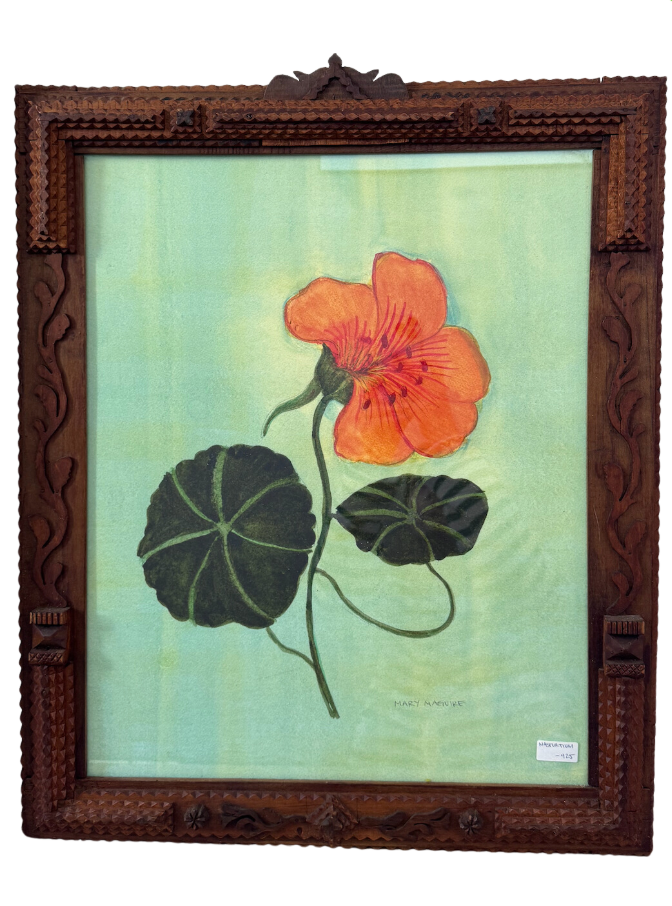 Nasturtium