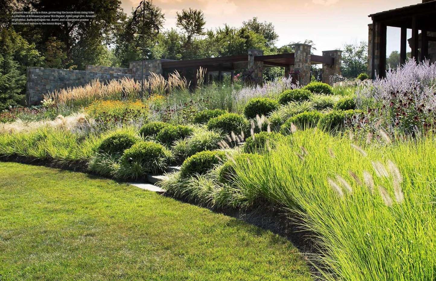 Enduring Gardens: The Tame and the Wild