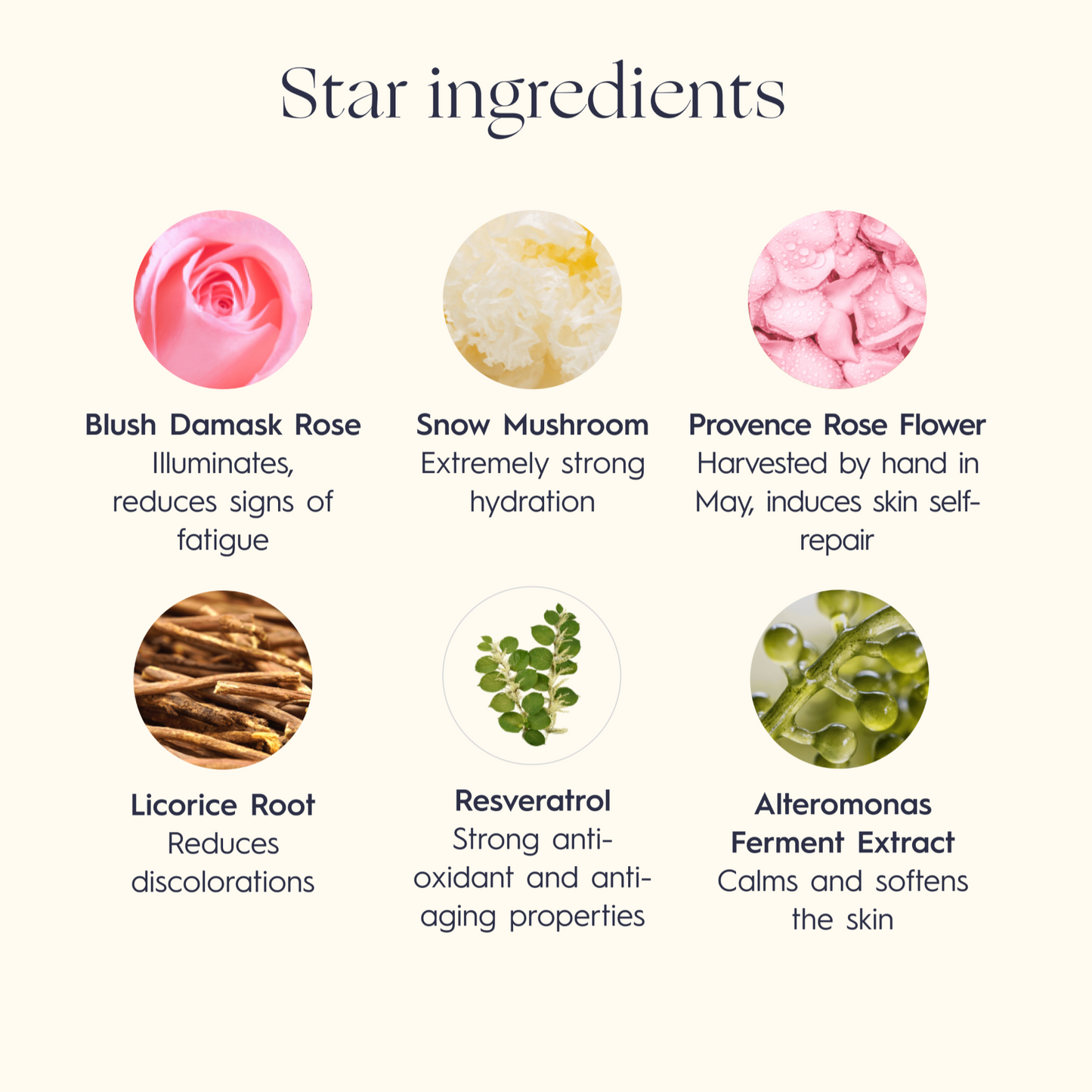 Anti-Wrinkle Rose Supreme Cream