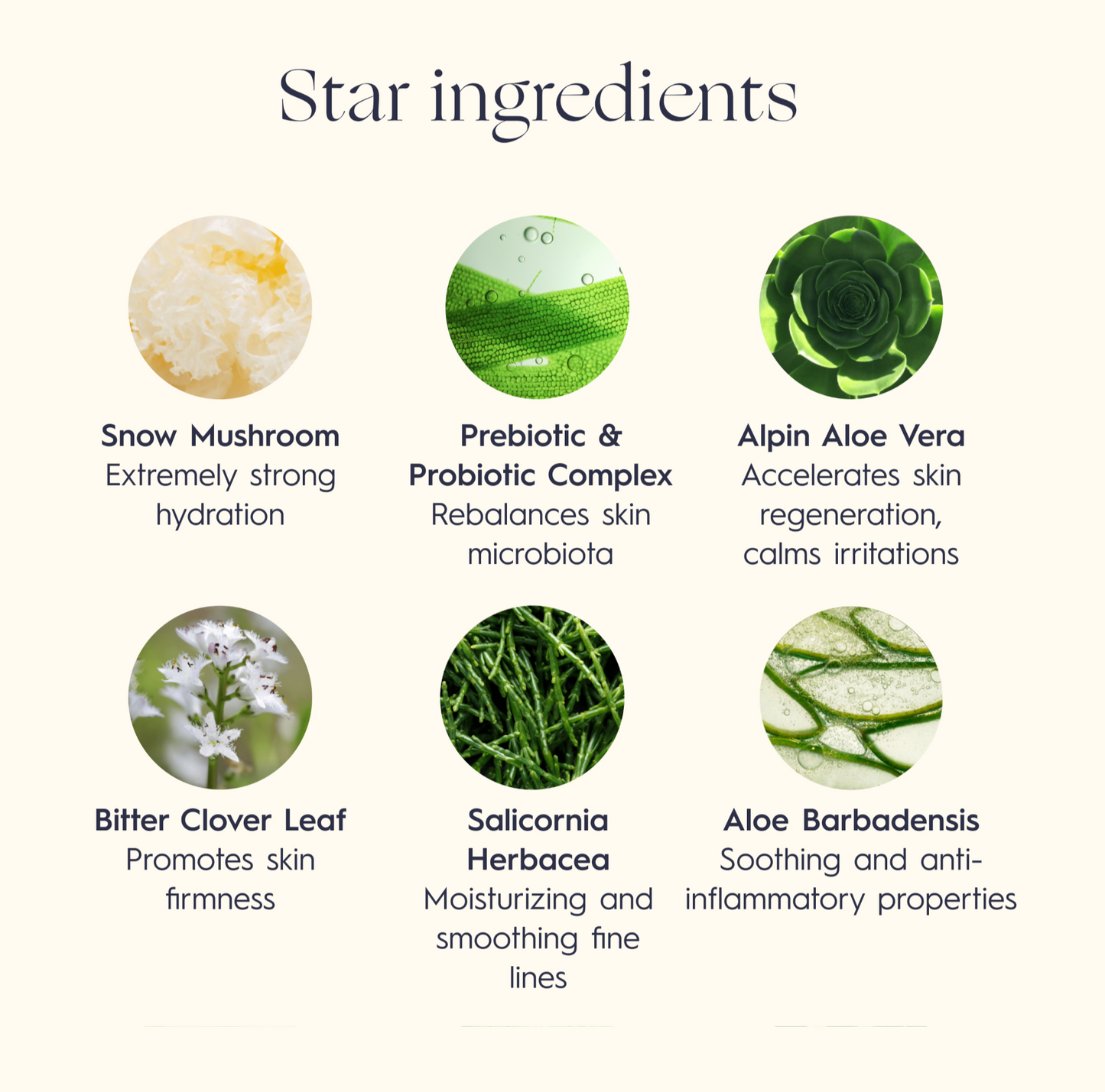 Natural Detox Replenishing Face Mask