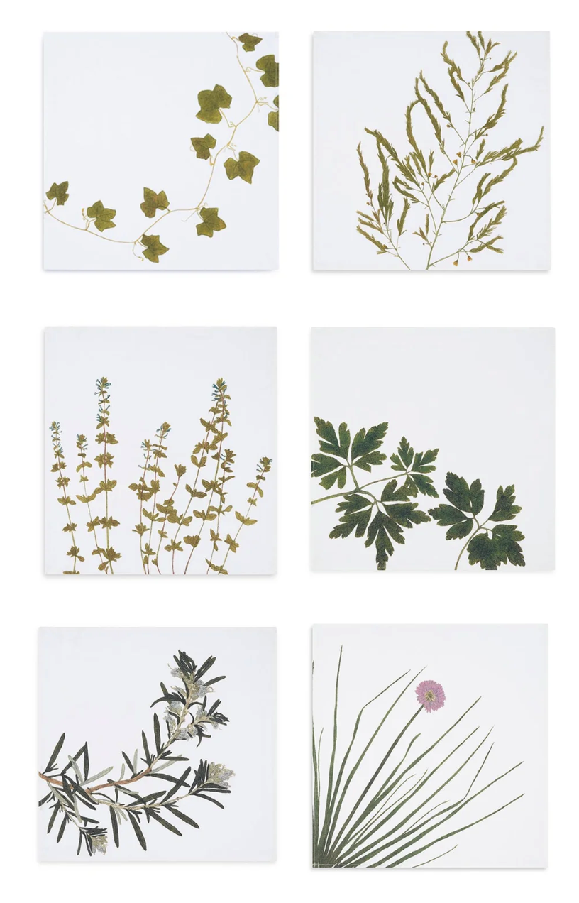 Set of Gastronomic Herb Napkins