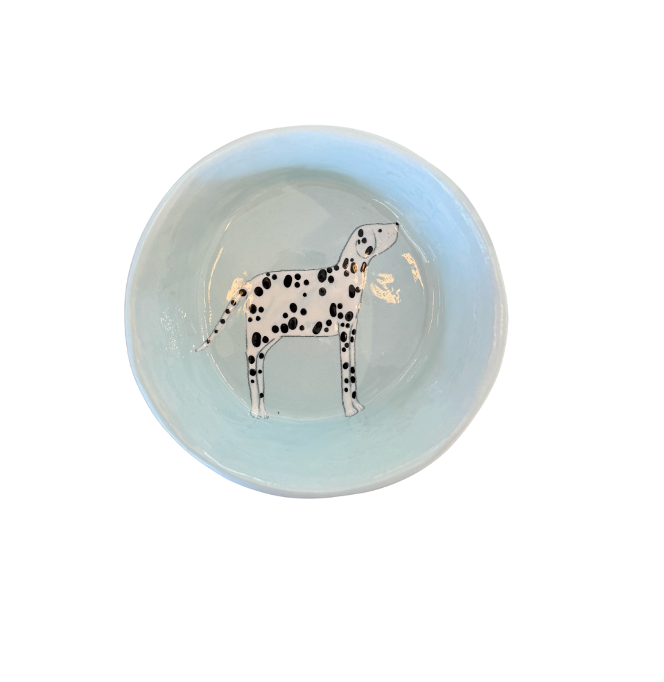 Large Dog Bowls