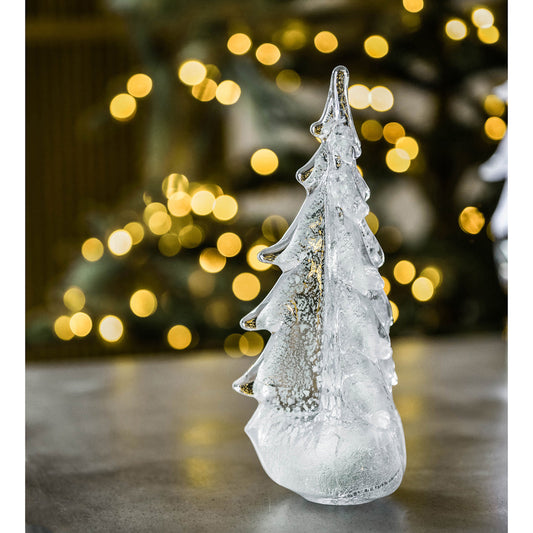 Silver Leaf Evergreen