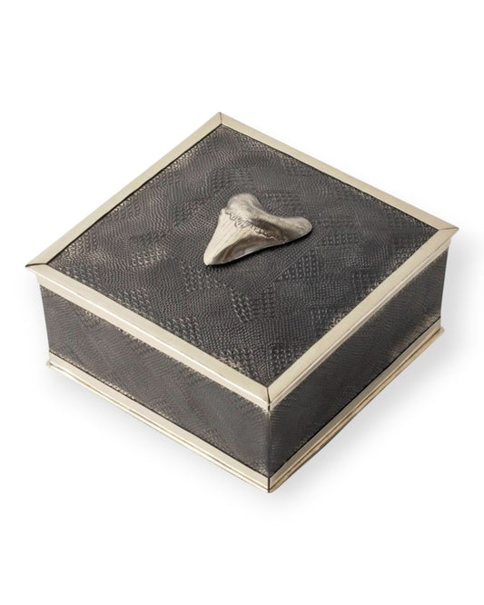 Megalodon Shark Tooth Keepsake Box