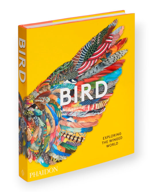 Bird: Exploring The Winged World