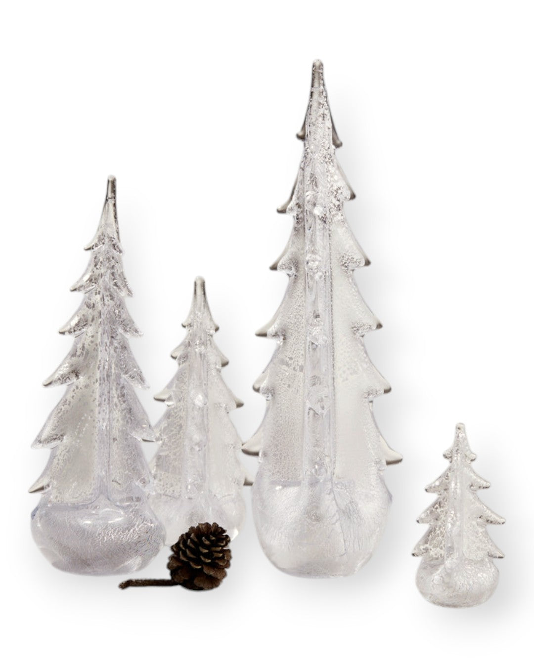 Silver Leaf Evergreen 6 Inch