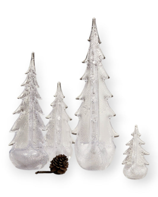 Silver Leaf Evergreen 6 Inch