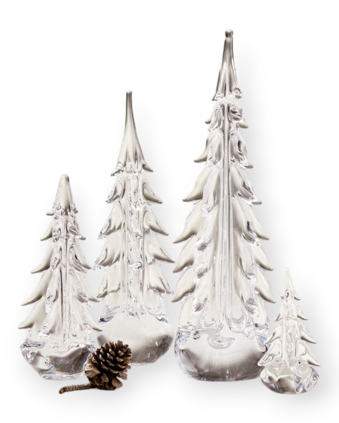 Five Sided Evergreen 6 Inch