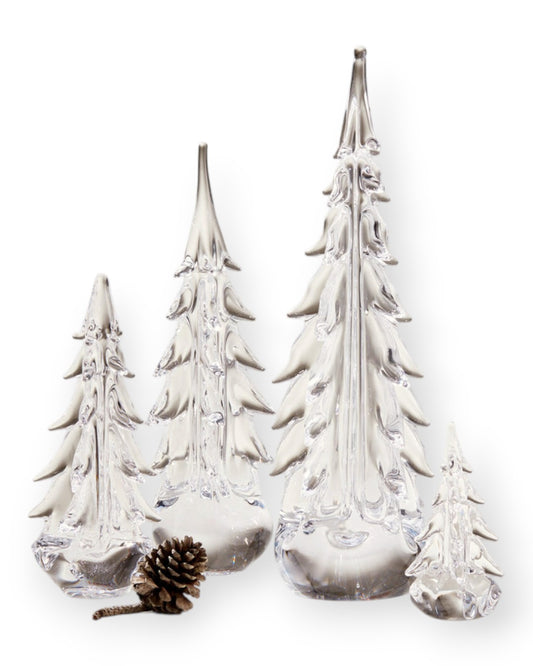 Five Sided Evergreen 6 Inch