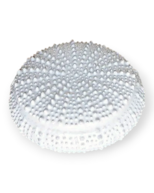 Birdie by Nina Liddle Design white ceramic urchin-inspired decorative box for jewelry storage