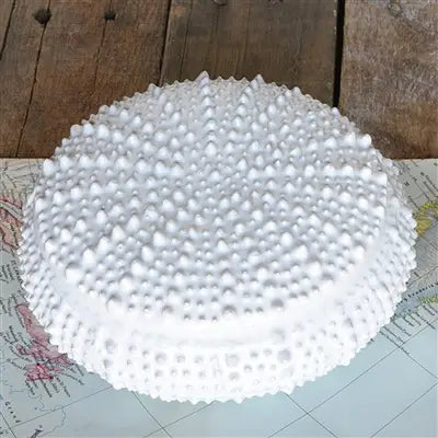 Urchin Ceramic Box