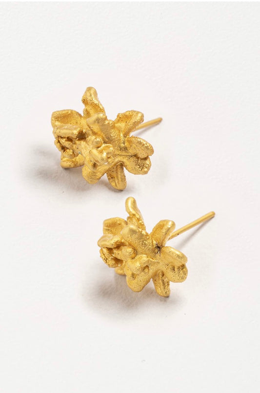 Sigma Orchid Studs
