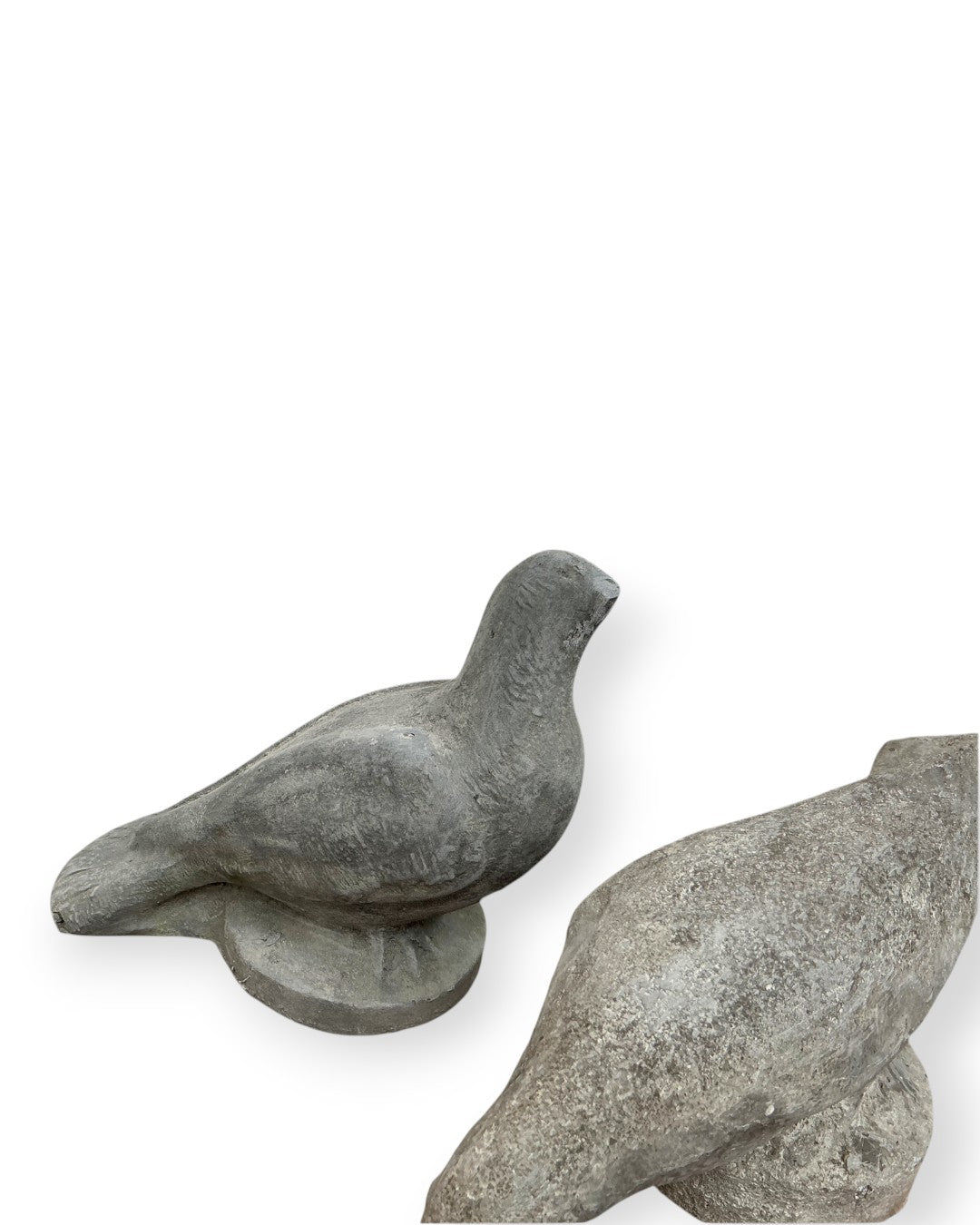PENNOYER Newman Dove