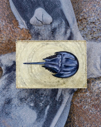 Birdie by Nina Liddle Design horseshoe crab keepsake box in metallic tumbaga with a dark crab sculpture on the lid.