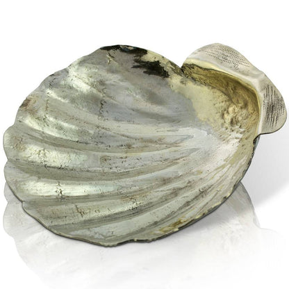 Scallop Shell Bowl