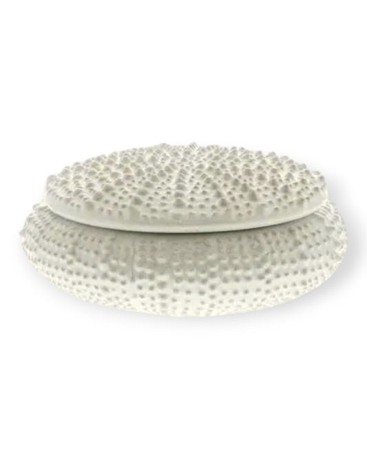 Urchin Ceramic Box