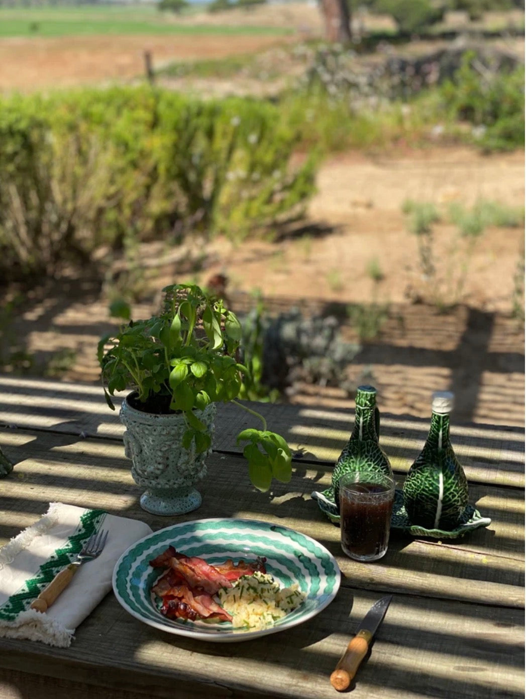 Green Squiggle Dinner Plate - set of 4