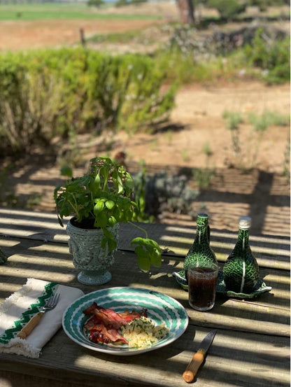 Green Squiggle Dinner Plate - set of 4