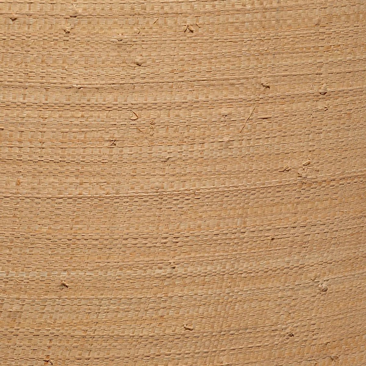 Medium Raffia Drum Shade