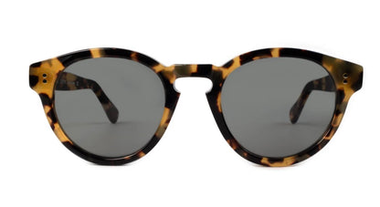 Carter Sunglasses