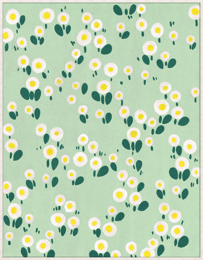 Dandy Field