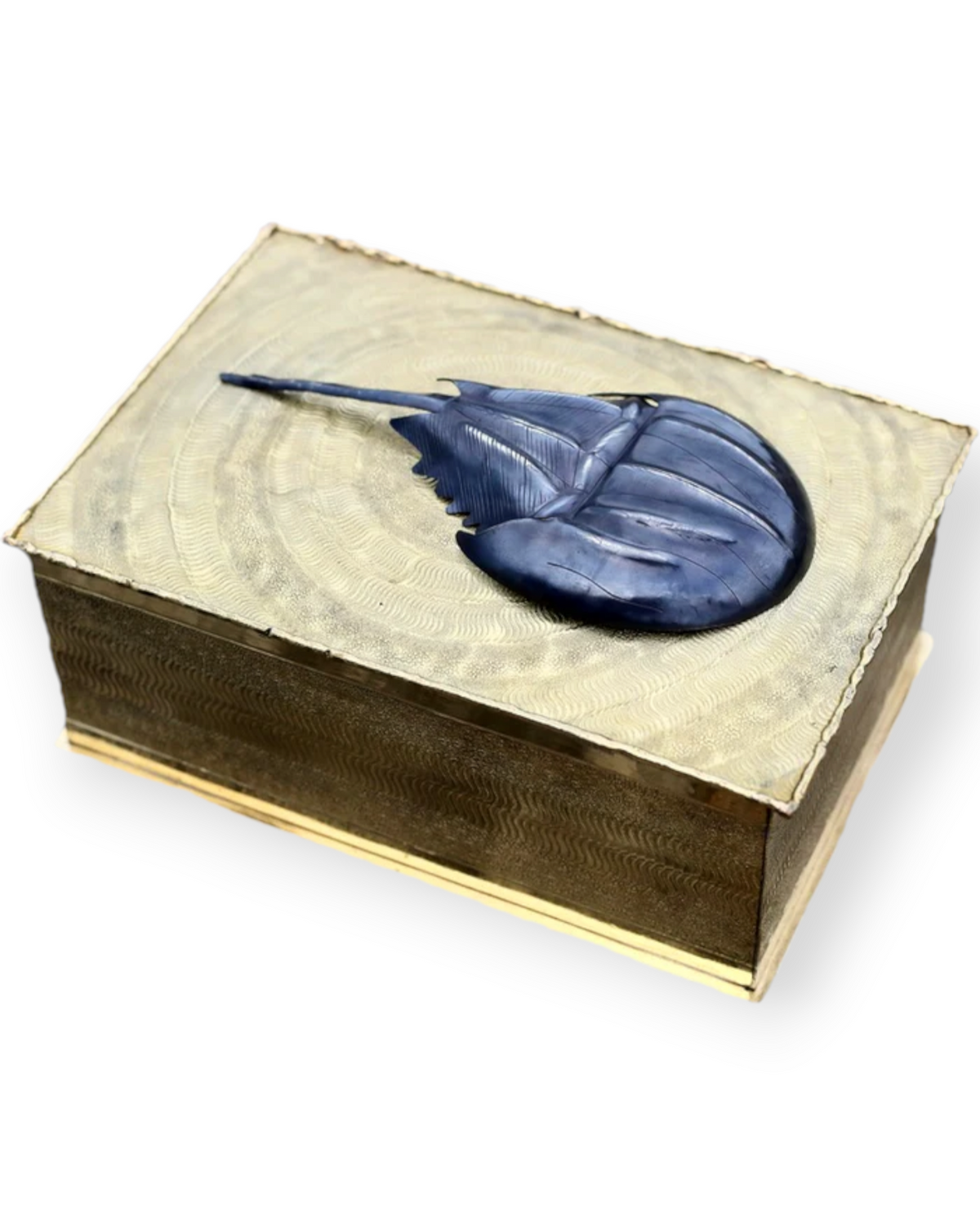 Birdie by Nina Liddle Design horseshoe crab keepsake box in metallic copper, nickel, and zinc with velvet lining