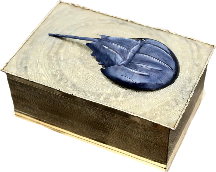 Horseshoe Crab Box