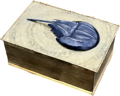 Horseshoe Crab Box