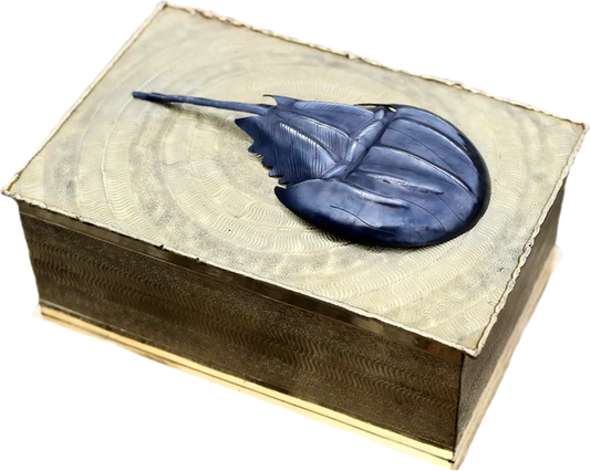 Horseshoe Crab Box