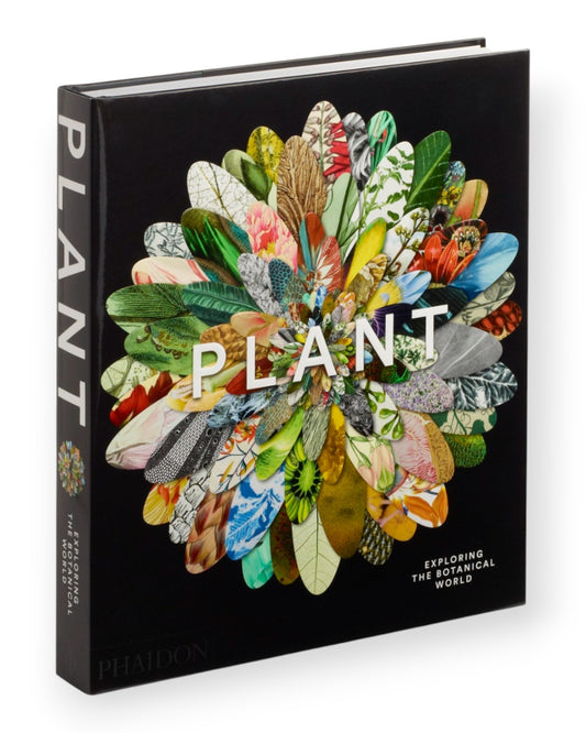 Plant: Exploring the Botanical World