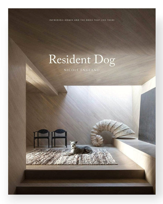 Resident Dog