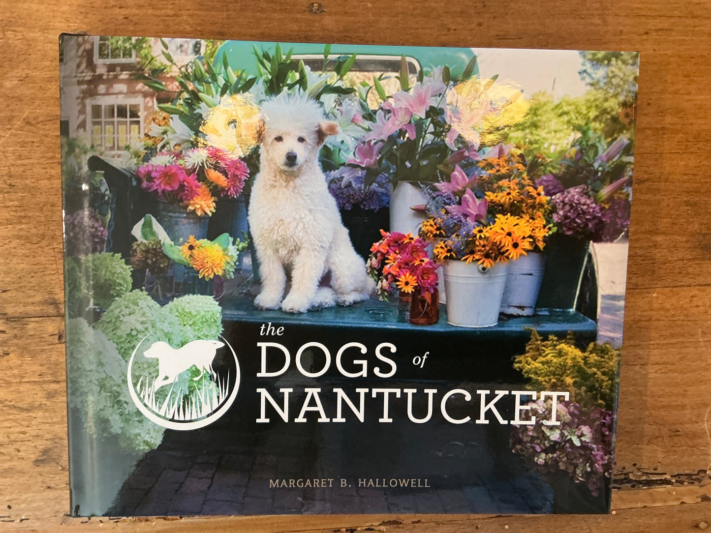 Dogs of Nantucket Book