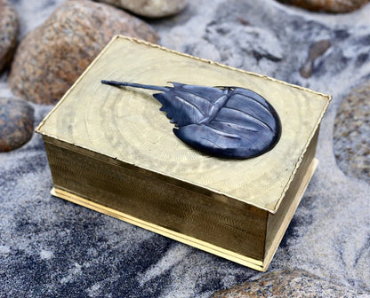 Horseshoe Crab Box