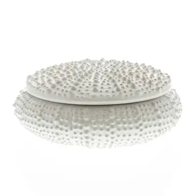 Urchin Ceramic Box