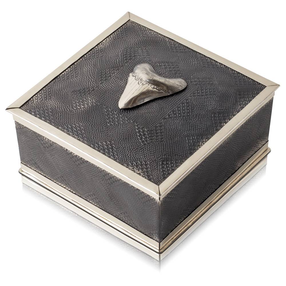 Megalodon Shark Tooth Keepsake Box