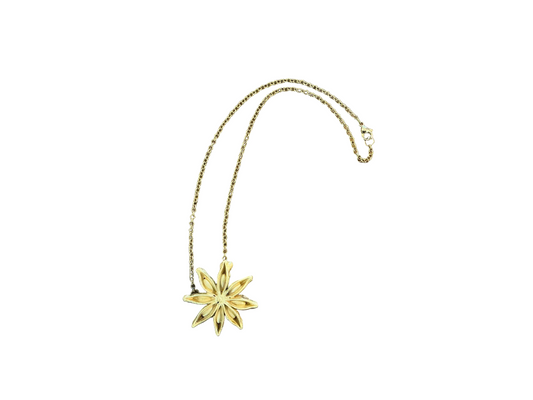 Star Anise Necklace