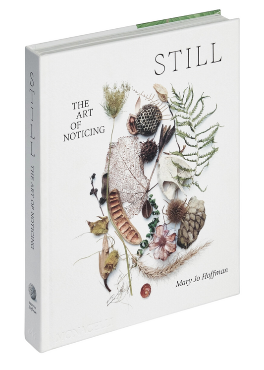 Still: The Art of Noticing